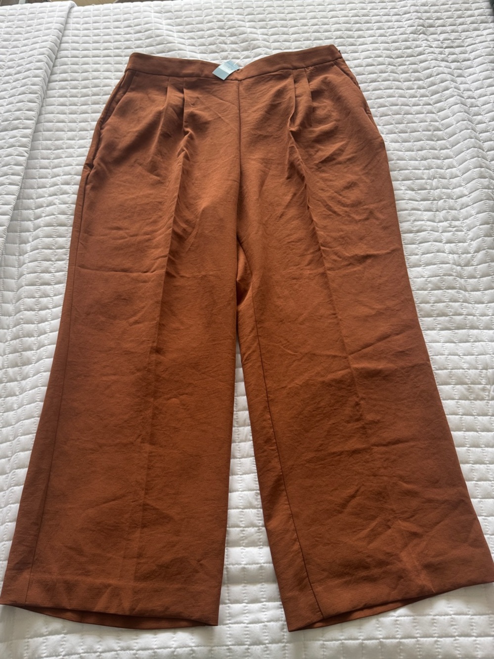Ann Taylor Wide-Leg Trousers in Rust